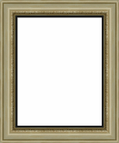 Wood Canvas Floater Picture Frame | Custom Gold Finish Wood 4VSF ...