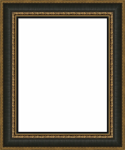 Wood Canvas Floater Picture Frame | Custom Antiqued Gold with Spruce ...