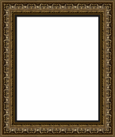 Wood Canvas Floater Picture Frame | Custom Gold FInish Wood RRF2 ...